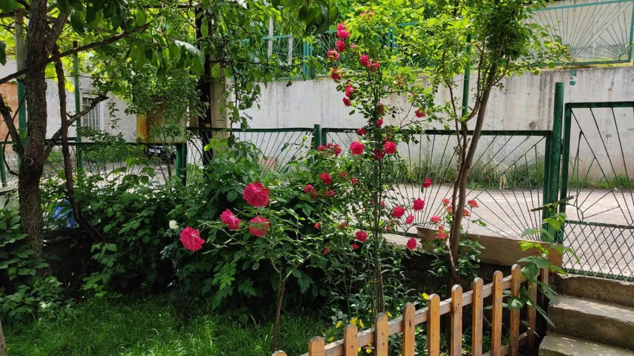 Borjomi Nest Hotel Ngoại thất bức ảnh