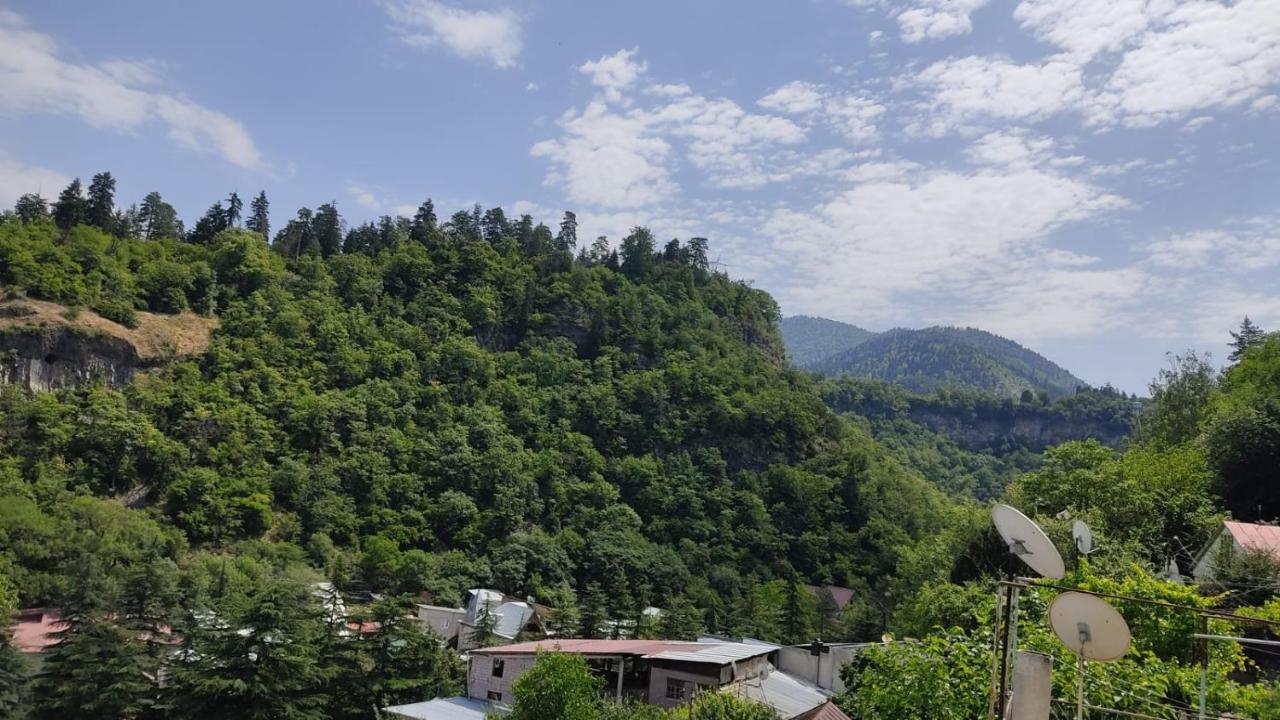 Borjomi Nest Hotel Ngoại thất bức ảnh