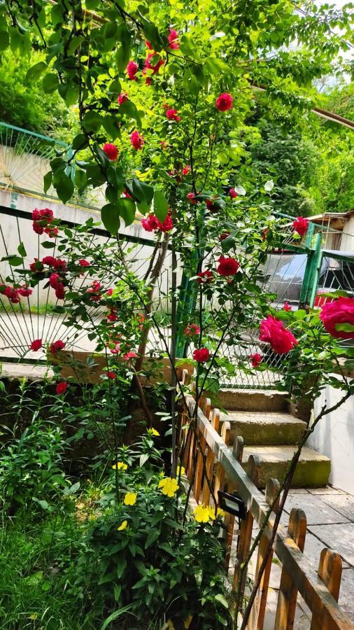 Borjomi Nest Hotel Ngoại thất bức ảnh