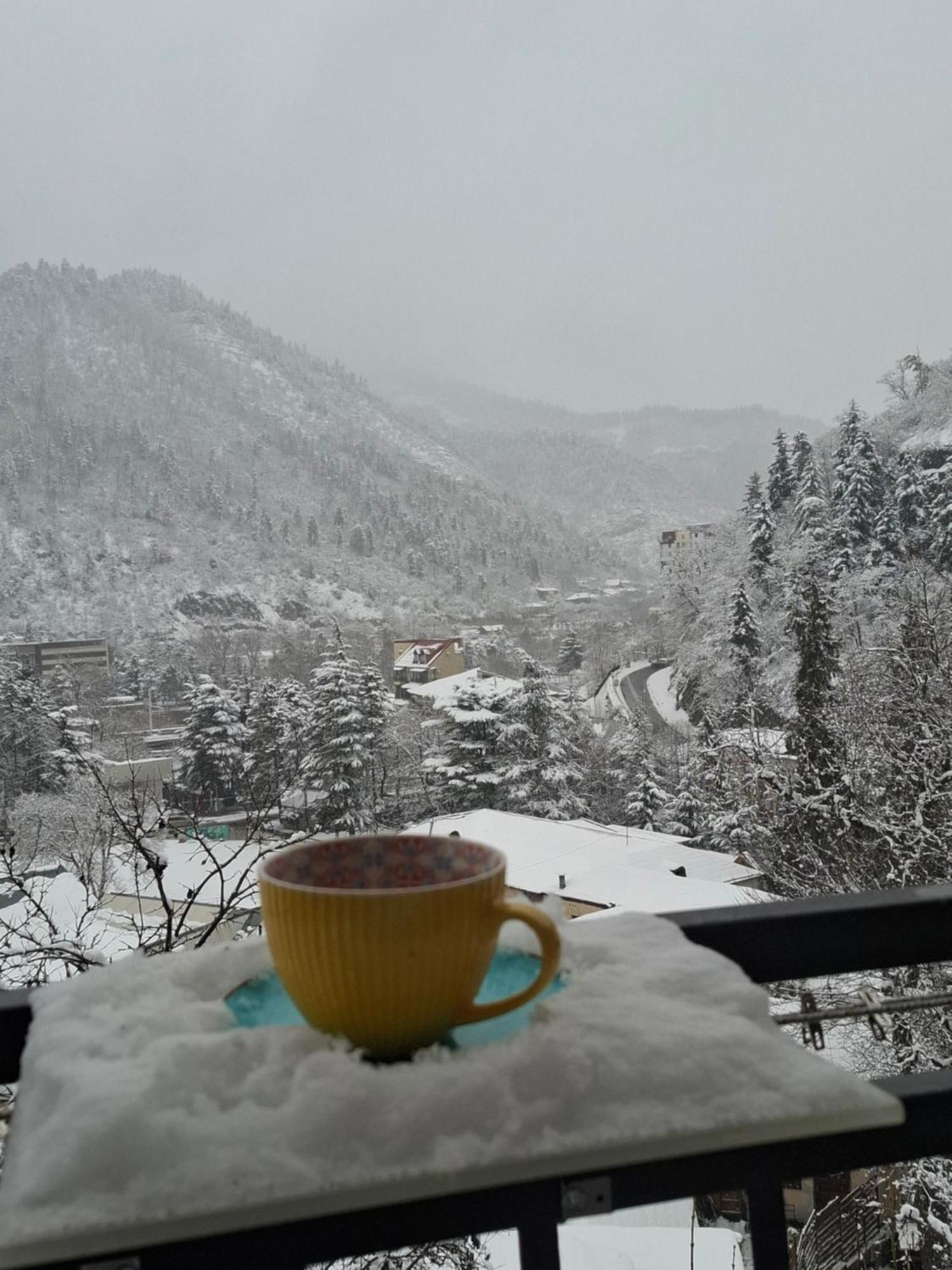 Borjomi Nest Hotel Ngoại thất bức ảnh